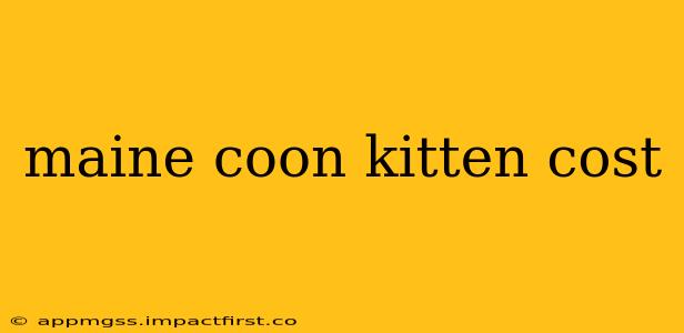 maine coon kitten cost