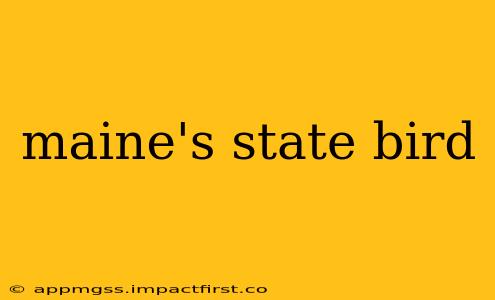 maine's state bird