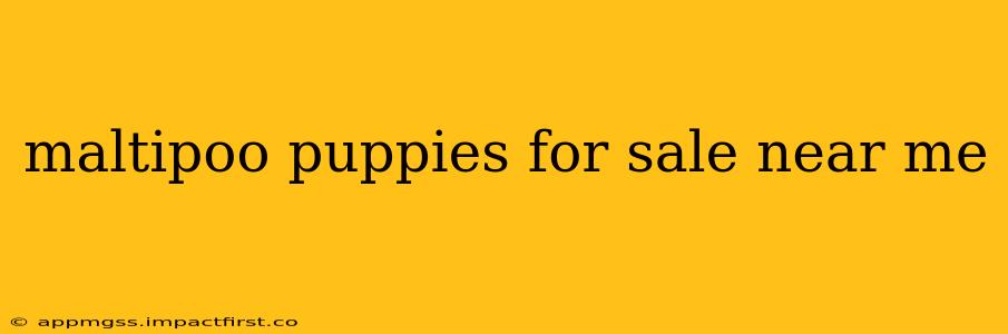 maltipoo puppies for sale near me
