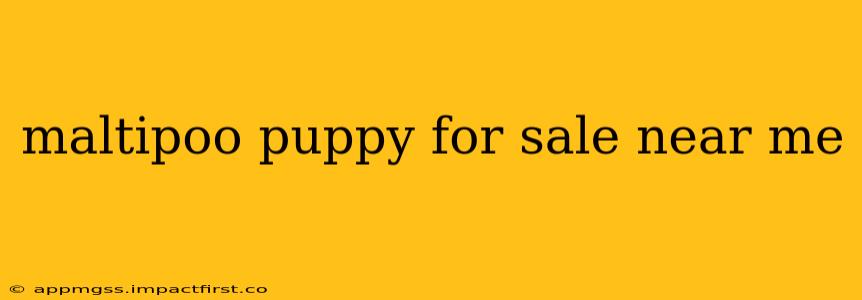 maltipoo puppy for sale near me
