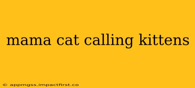 mama cat calling kittens