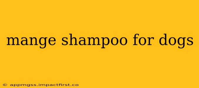 mange shampoo for dogs