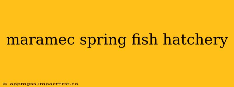 maramec spring fish hatchery
