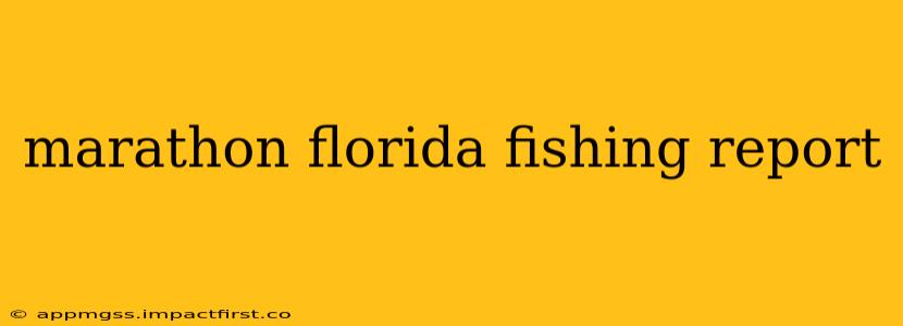 marathon florida fishing report