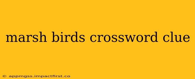 marsh birds crossword clue
