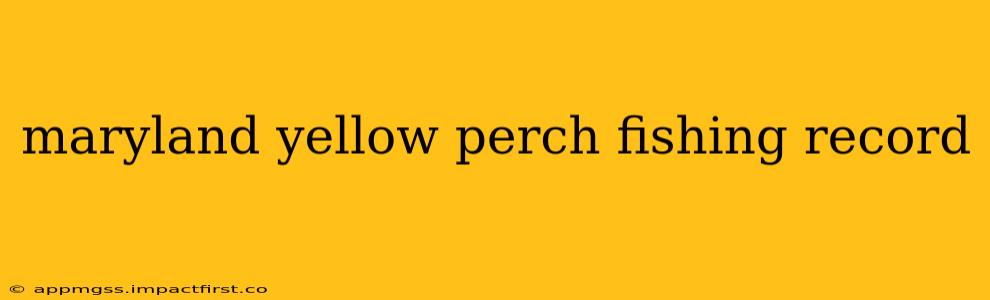 maryland yellow perch fishing record
