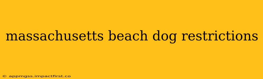 massachusetts beach dog restrictions