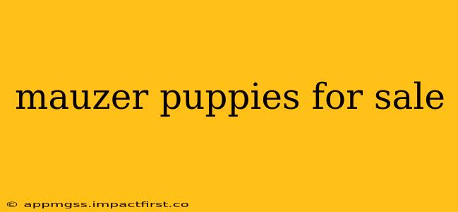 mauzer puppies for sale