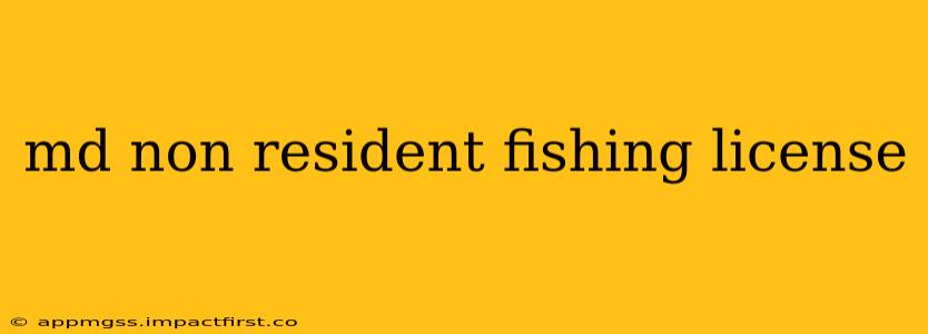 md non resident fishing license
