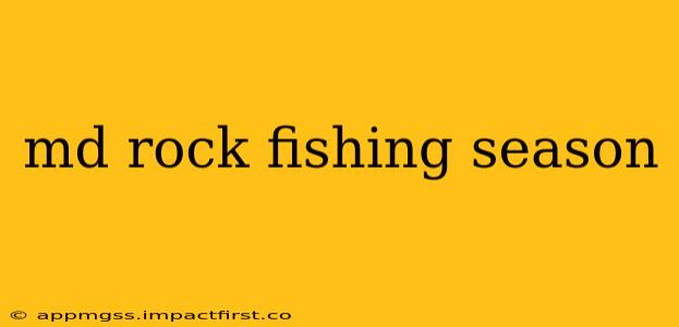 md rock fishing season