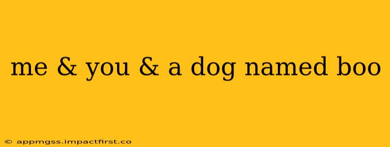 me & you & a dog named boo