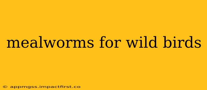 mealworms for wild birds