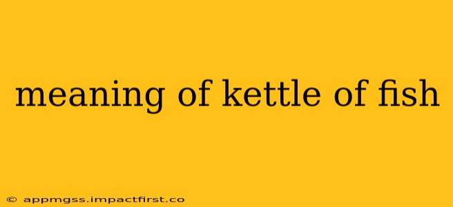 meaning of kettle of fish