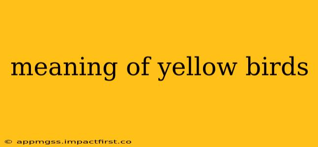 meaning of yellow birds