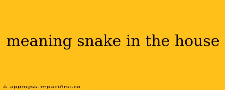meaning snake in the house