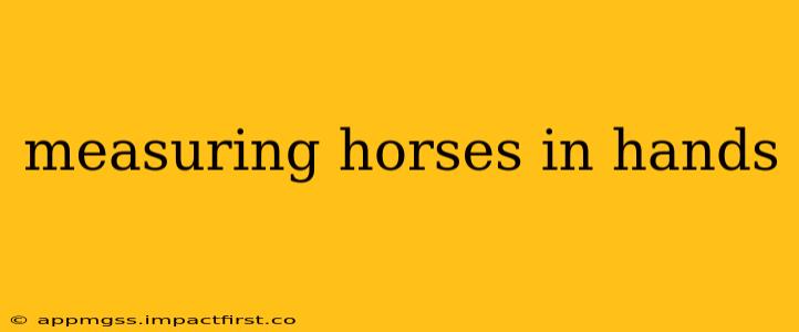 measuring horses in hands