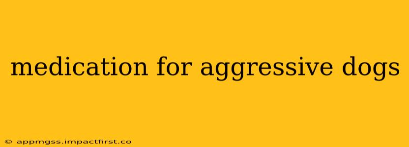 medication for aggressive dogs