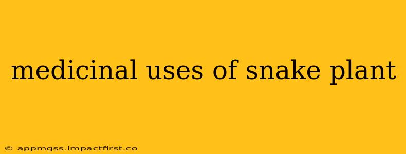 medicinal uses of snake plant