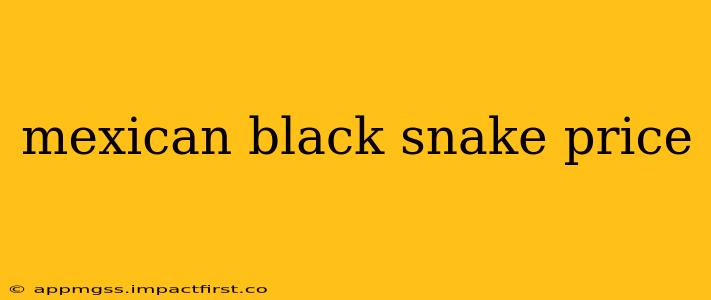 mexican black snake price