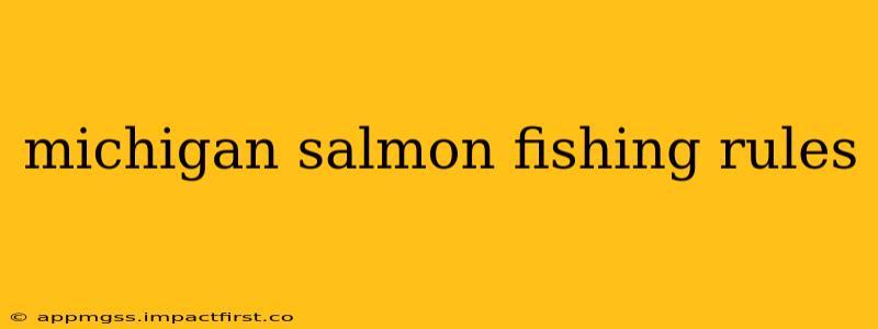 michigan salmon fishing rules