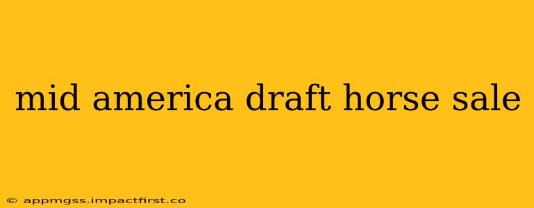 mid america draft horse sale