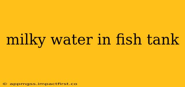 milky water in fish tank
