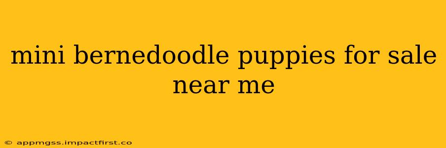 mini bernedoodle puppies for sale near me