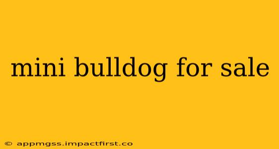 mini bulldog for sale
