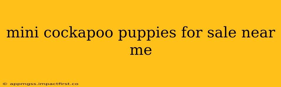 mini cockapoo puppies for sale near me