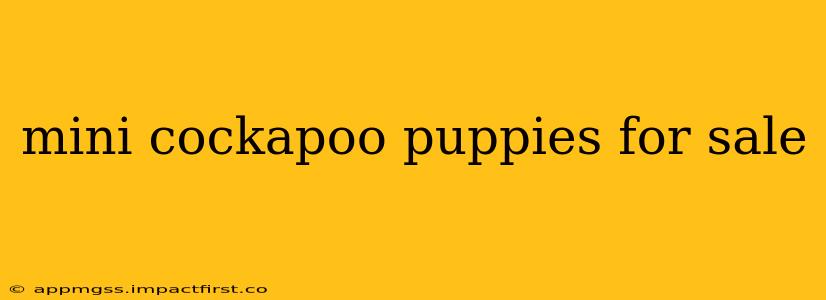 mini cockapoo puppies for sale