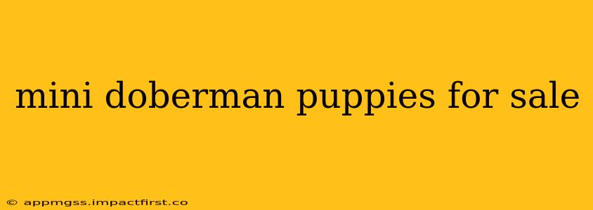mini doberman puppies for sale
