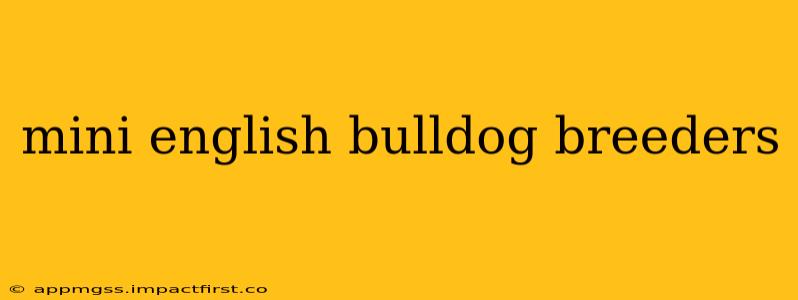 mini english bulldog breeders