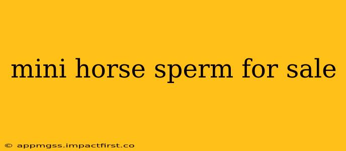 mini horse sperm for sale