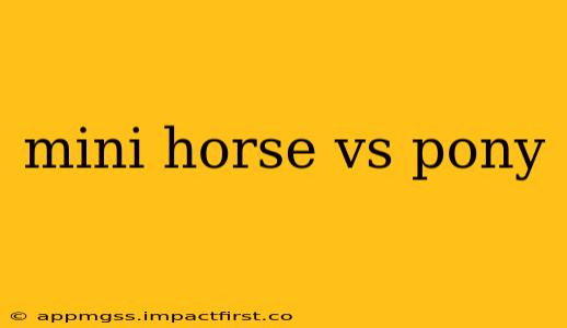 mini horse vs pony