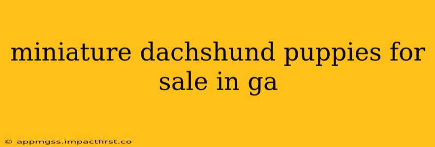 miniature dachshund puppies for sale in ga