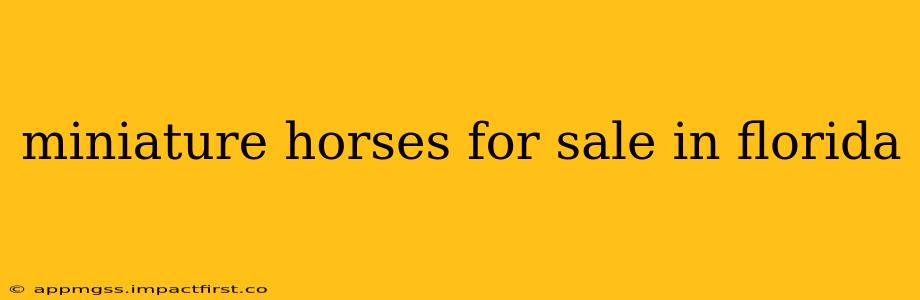 miniature horses for sale in florida