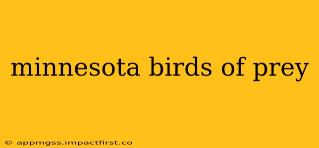minnesota birds of prey