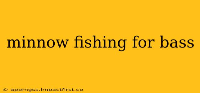 minnow fishing for bass
