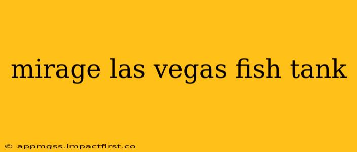 mirage las vegas fish tank