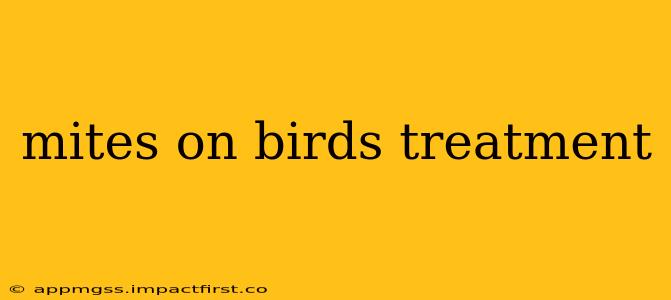 mites on birds treatment
