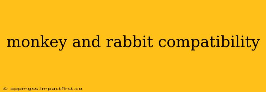 monkey and rabbit compatibility