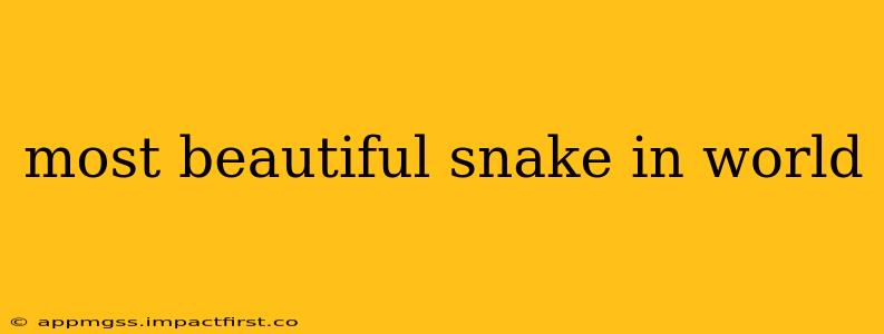 most beautiful snake in world