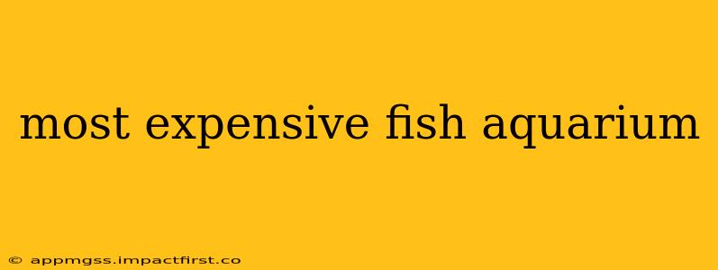 most expensive fish aquarium