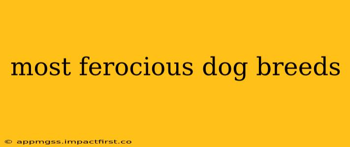 most ferocious dog breeds