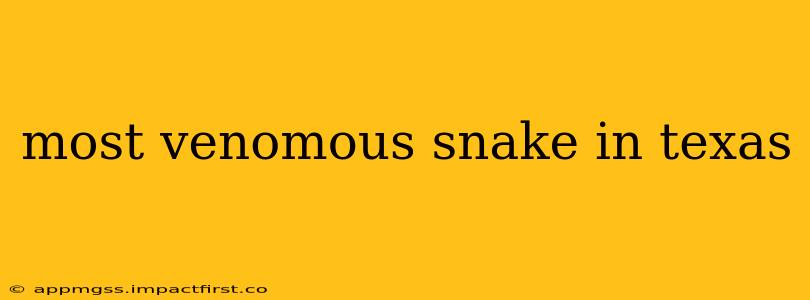 most venomous snake in texas