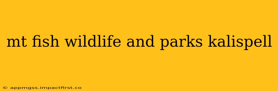 mt fish wildlife and parks kalispell