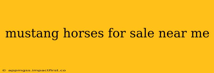 mustang horses for sale near me