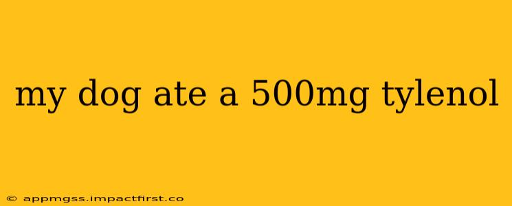 my dog ate a 500mg tylenol