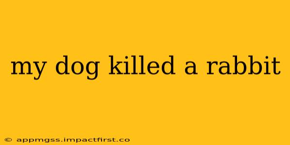 my dog killed a rabbit