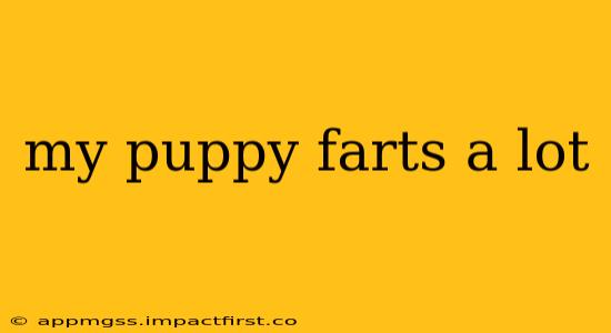 my puppy farts a lot